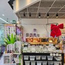 하나로 플라워 수족관 | 양산 라피에스타 피쉬플라넷 양산점 게코도마뱀 단골집 방문기 예쁜집 구매