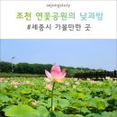 조천 산책로화장실 이미지