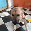 선미농장 이미지