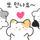 합천명품토종흑돼지 이미지