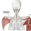 반석한의원 이미지