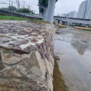 김일태 시 / 켜켜이 쌓은 것은 단단하다 이미지