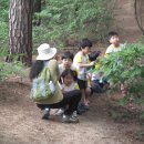 보림유치원 이미지