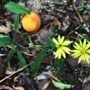 삼계초등학교 이미지