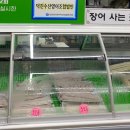덕진수산영어조합법인