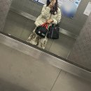 양양별채268 네이버블로그