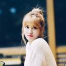 모모데이