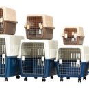 좋은켄넬 이미지