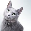 블루동물병원 이미지