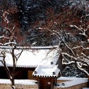 강선농장 이미지