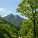 등산하기 좋은 국내 추천 코스 총정리-걷기만 해도 힐링! 자연이 가장 예쁜 6월, 지금 떠나야 할 산들