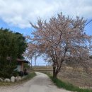 양양조규승가옥 이미지