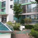 동아아파트앞 정류장 이미지