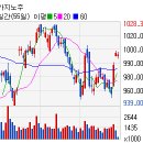 (주)마제스타 마제스타카지노 이미지