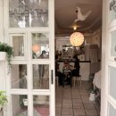 시아하우스 이미지