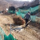 홍주대서 이미지