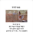 진순희