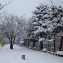 속초초등학교 이미지