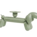 도그루밍 이미지