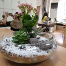 전주덕일초등학교 이미지