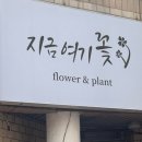지금여기꽃