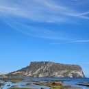 엔젤카센타 | [제주] 제주 당일치기 여행 추천