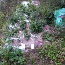 덕용슈퍼 - 합천군 | 덕용슈퍼