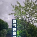 제천 캠핑장 월악한울캠핑장, 가족 캠핑 찐후기 — 가성비 좋은 숲속 오토캠핑