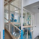 센토르7 이미지