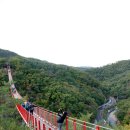 출렁다리 이미지