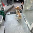 만득이네 이미지