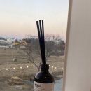 기사문항(회센터) | 강원도 양양 펜션 가성비 감성숙소 하조대해변 도보 5분 스테이다로 내돈내산 (주변맛집 기재)