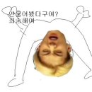 제이타비