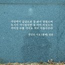 현상언「홍매」 이미지