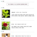 군산초등학교 이미지