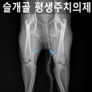 마로동물병원 이미지