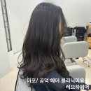 마포 공덕 여자 헤어클리닉 미용실 레브하헤어