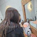 강남미용학원 커트교육 후기, 봅스아카데미 커트 테스트와 디플로마 과정