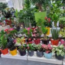 농협본점 이미지