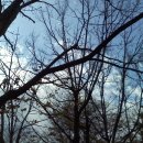 불암 약수터 이미지