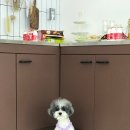 상구스타일 이미지