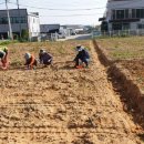 용전농장 이미지