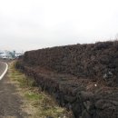 북촌환해장성 이미지