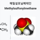 (주)지텍디피엠