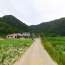 청춘펜션 - 안산시 단원구 고랫부리길 88-1 | 청춘펜션
