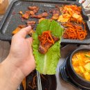 꼬꼬정 네이버블로그