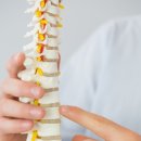 경희바른맥한의원 이미지