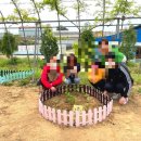 보담농장 이미지