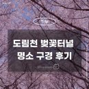 도림천 | 도림천 벚꽃터널 명소 구경 후기