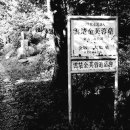 버들과 연꽃을 노래한 명기 부용